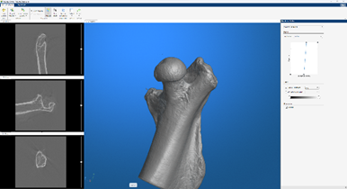 Mouse femur bone CT image
