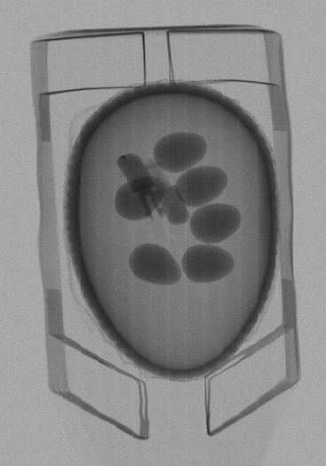 Food X-ray Inspection