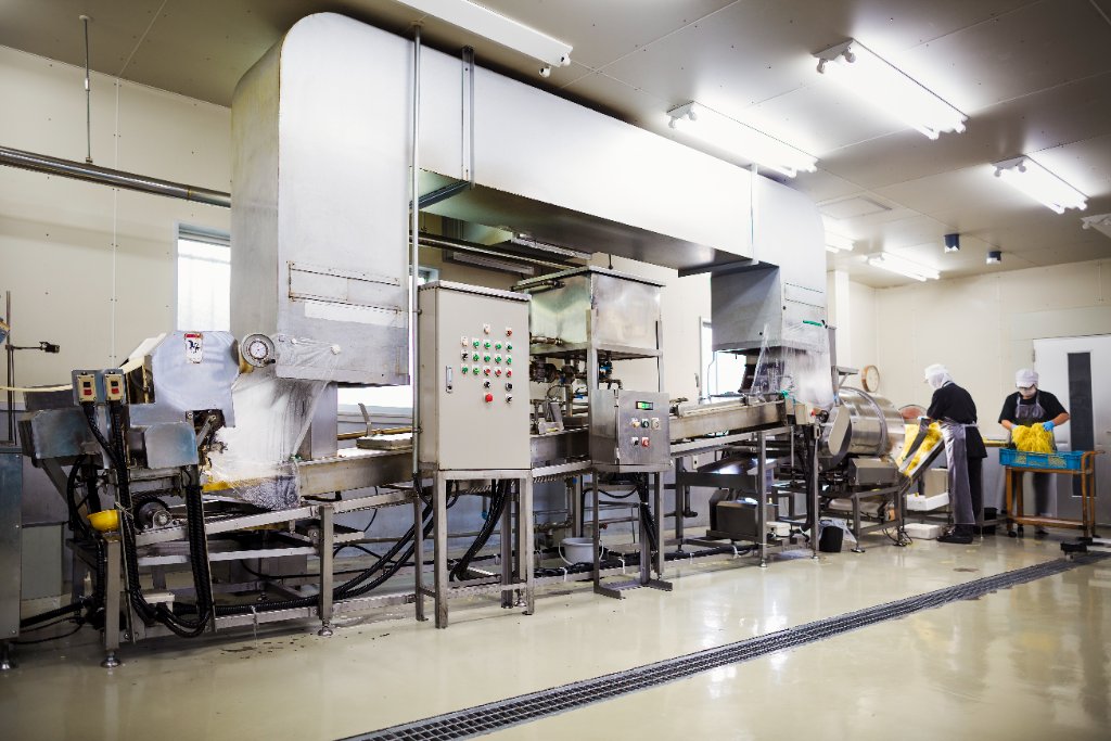 Full Conveyor Drive System Overhaul — Sheffield Food Processing