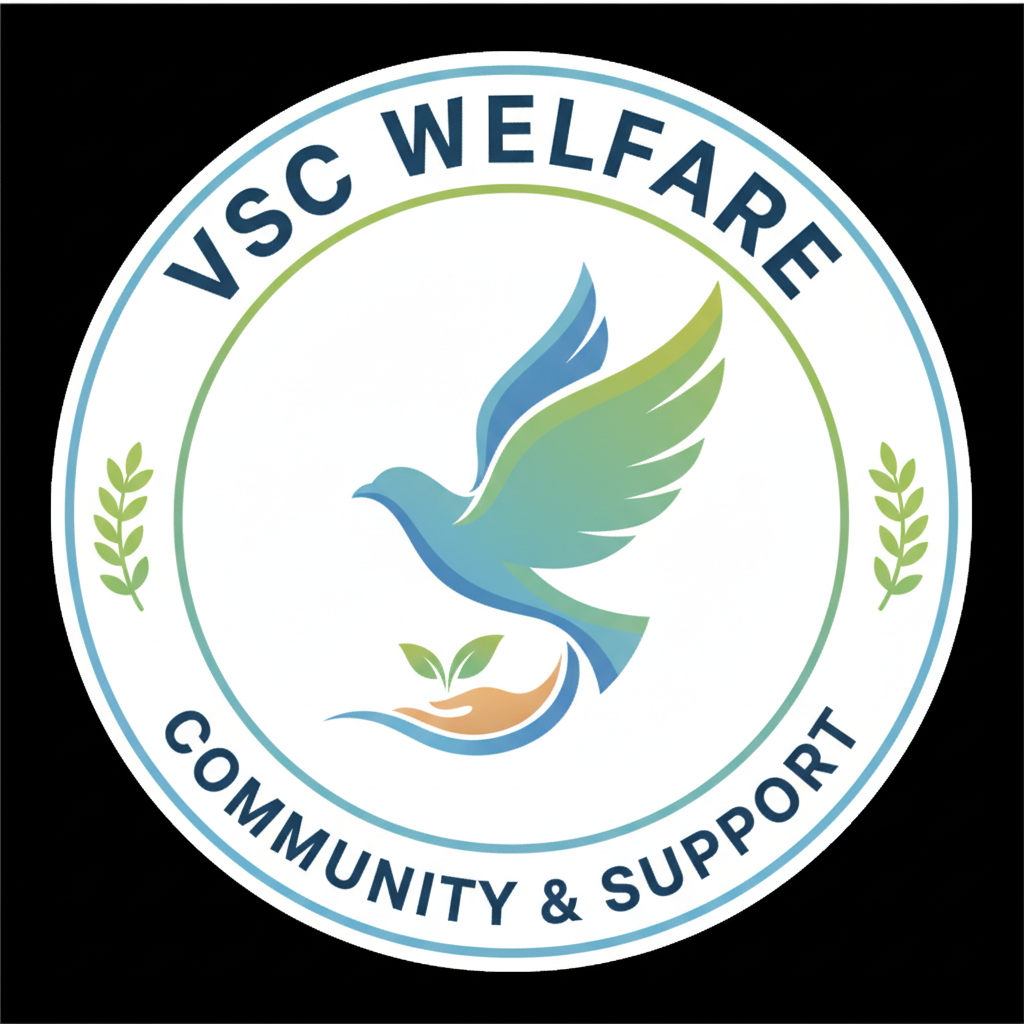VSC Care logo