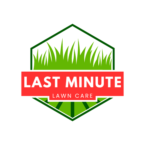Last Minute Lawn Care