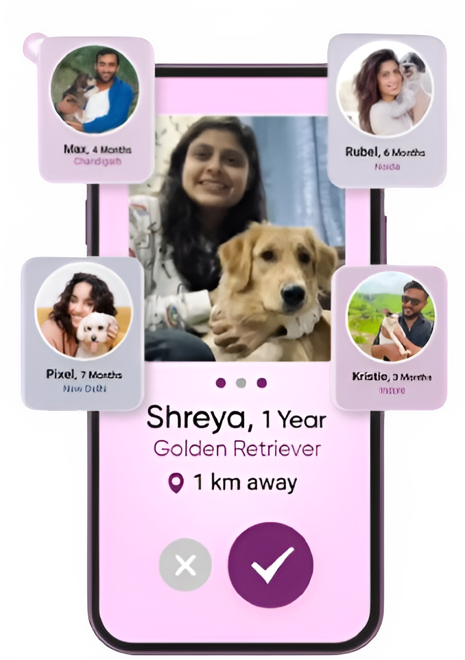 Pet connections