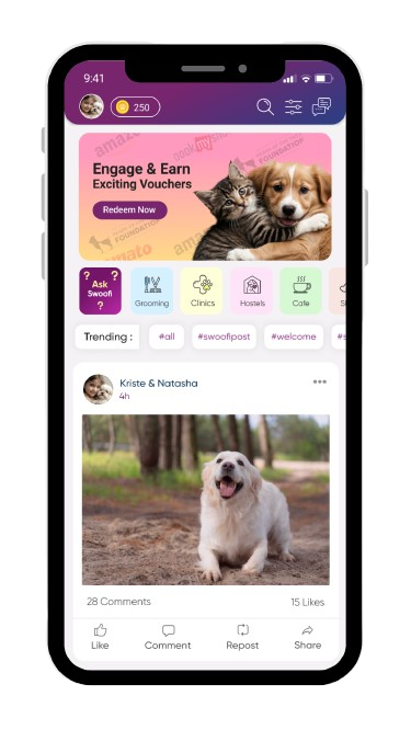 Pet social feed