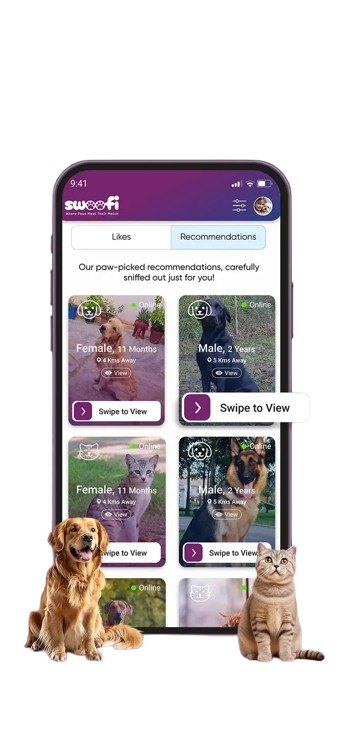 Pet recommendations