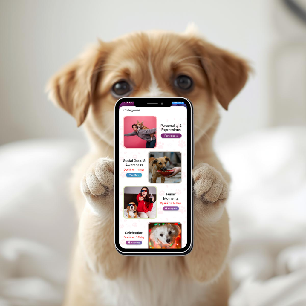 Pet Contest