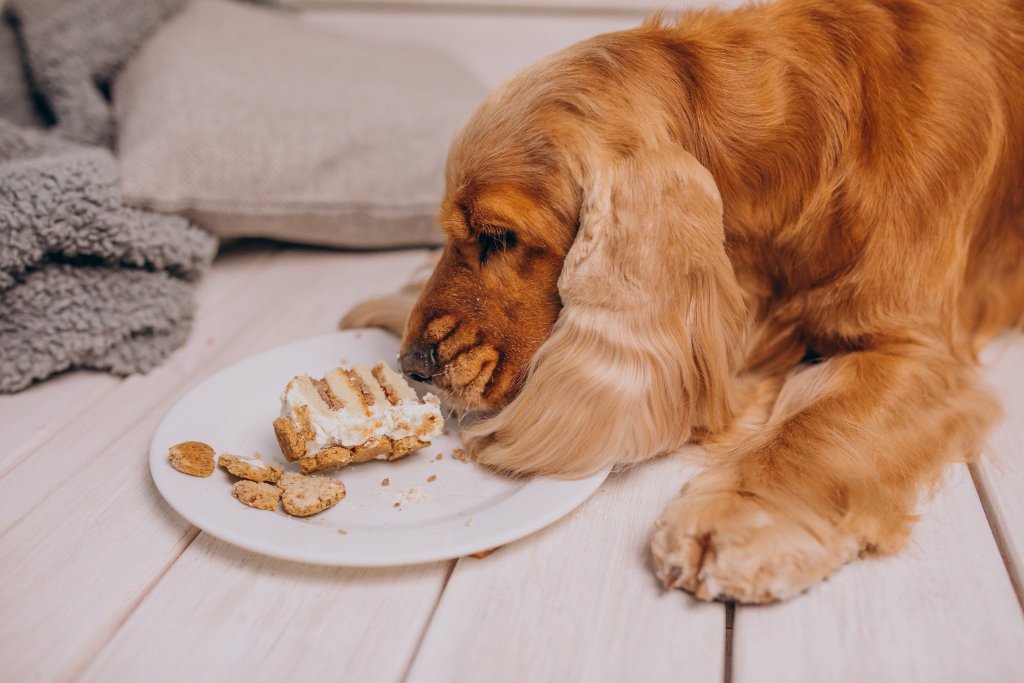 Peanut Butter Pup Treats