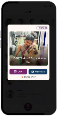 Video call options