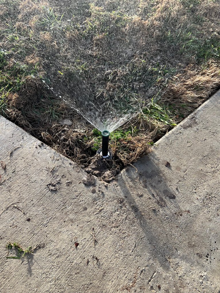 Sprinkler head in action showing proper coverage