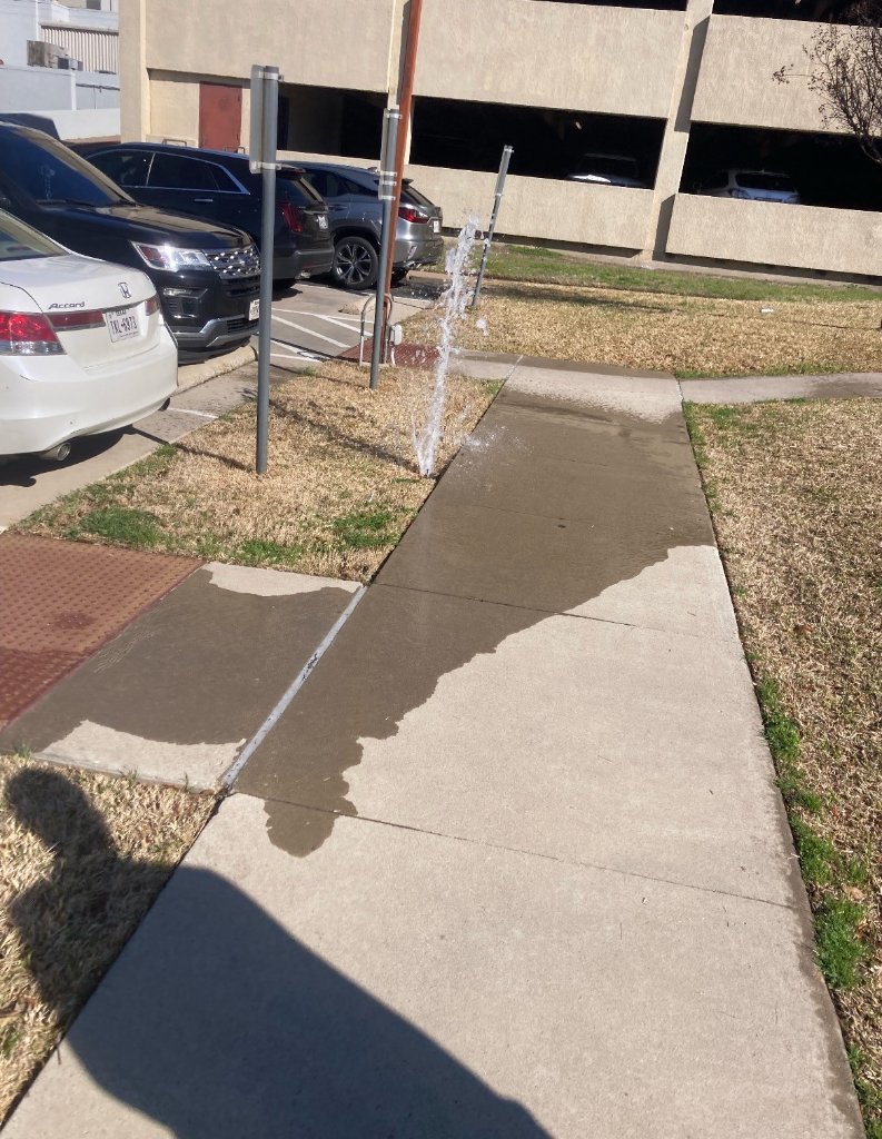 Commercial sprinkler head testing and replacement