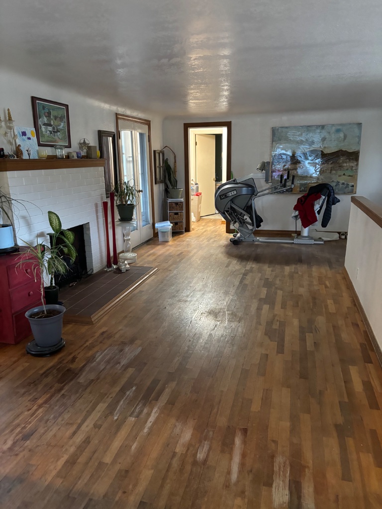 Living Room Path - after