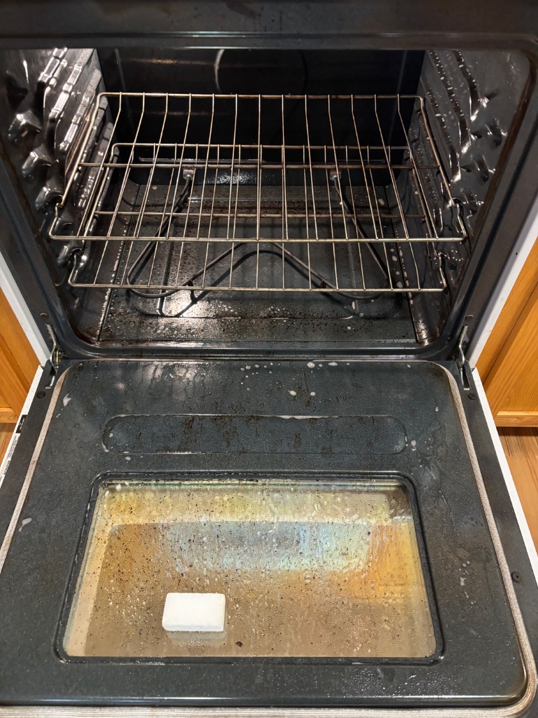 Oven Interior - before