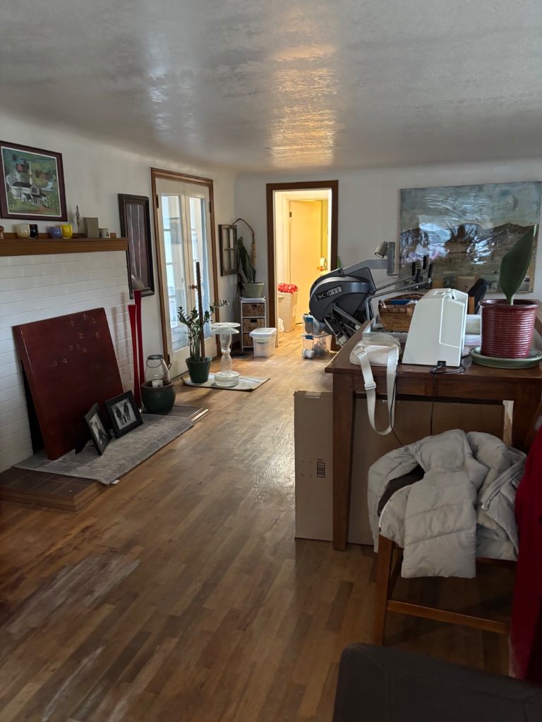 Living Room Path - before
