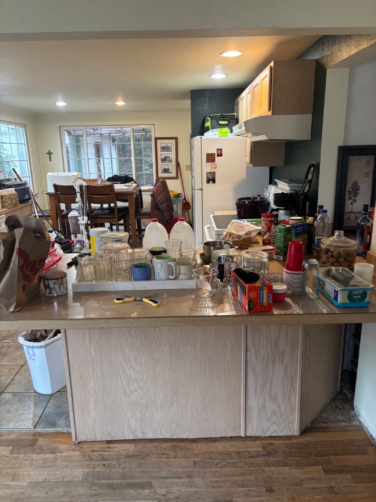 Island + Counter - before