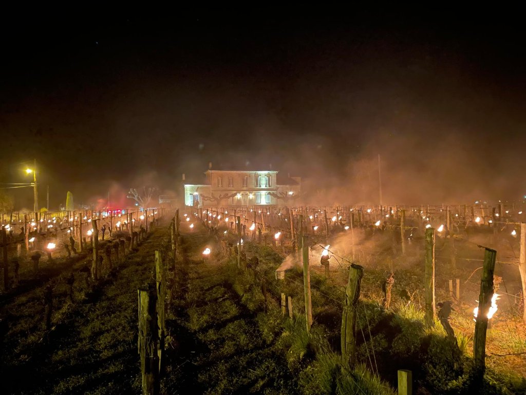 Vignobles de Pomerol
