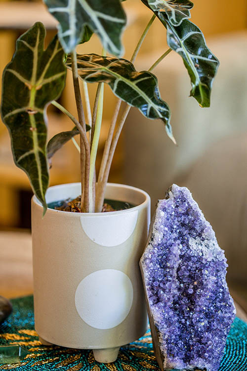 Calming office detail with plant and crystal in therapy room