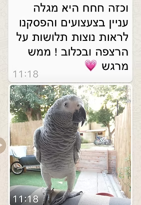 המלצה 3