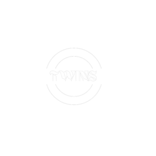 TWINS Snack Logo