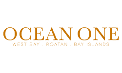 Ocean One