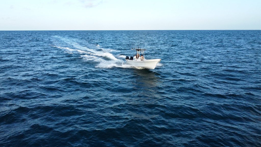 Panga boat in action