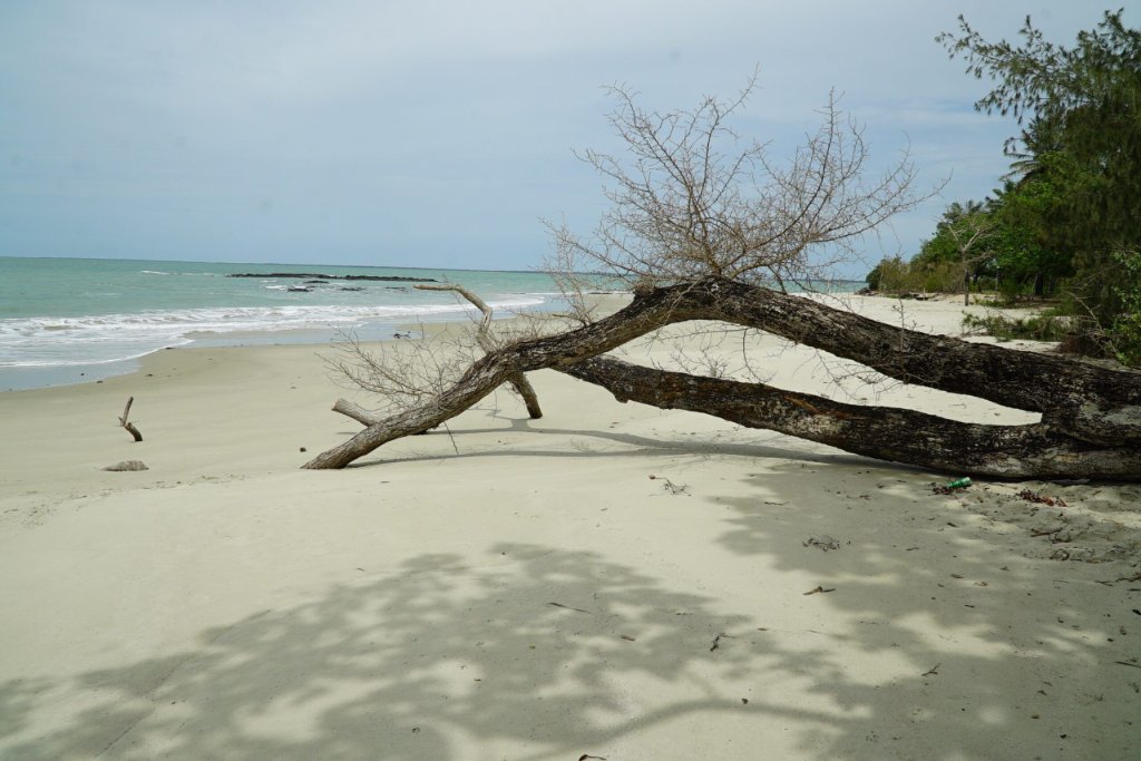 Playas vírgenes