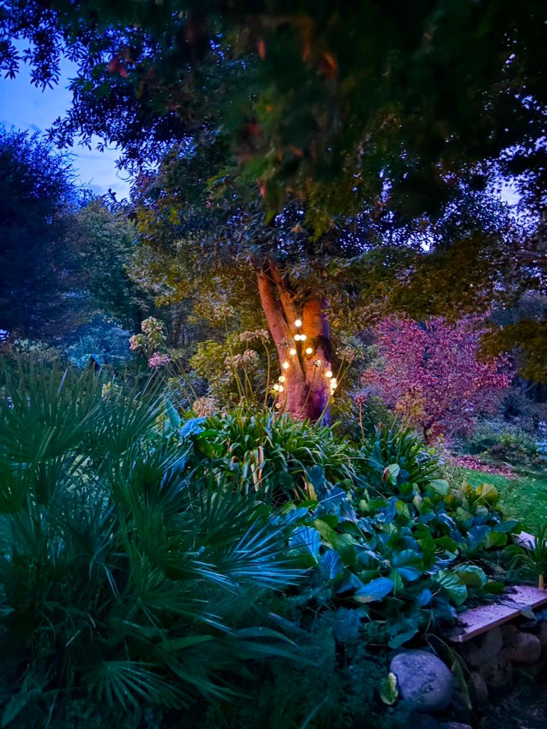 Jardín mágico nocturno