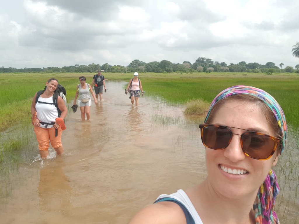Explorando los campos de arroz