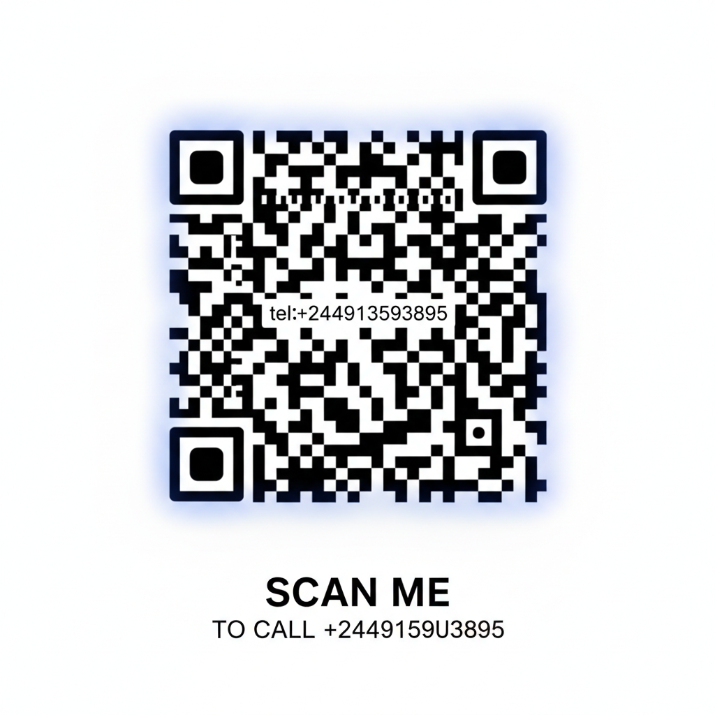 QR Code para Contato +244913593895