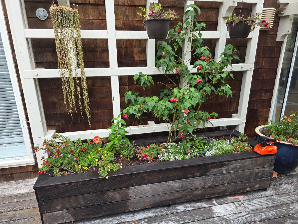 Deck Container Garden