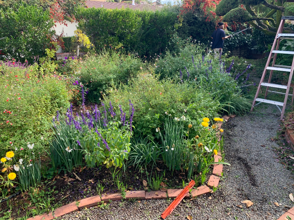 Cottage Garden Pathway
