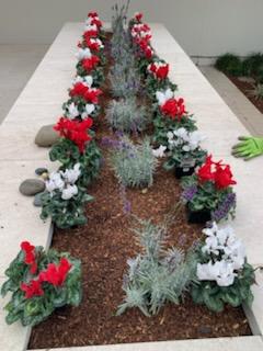Front Entry Garden Bed