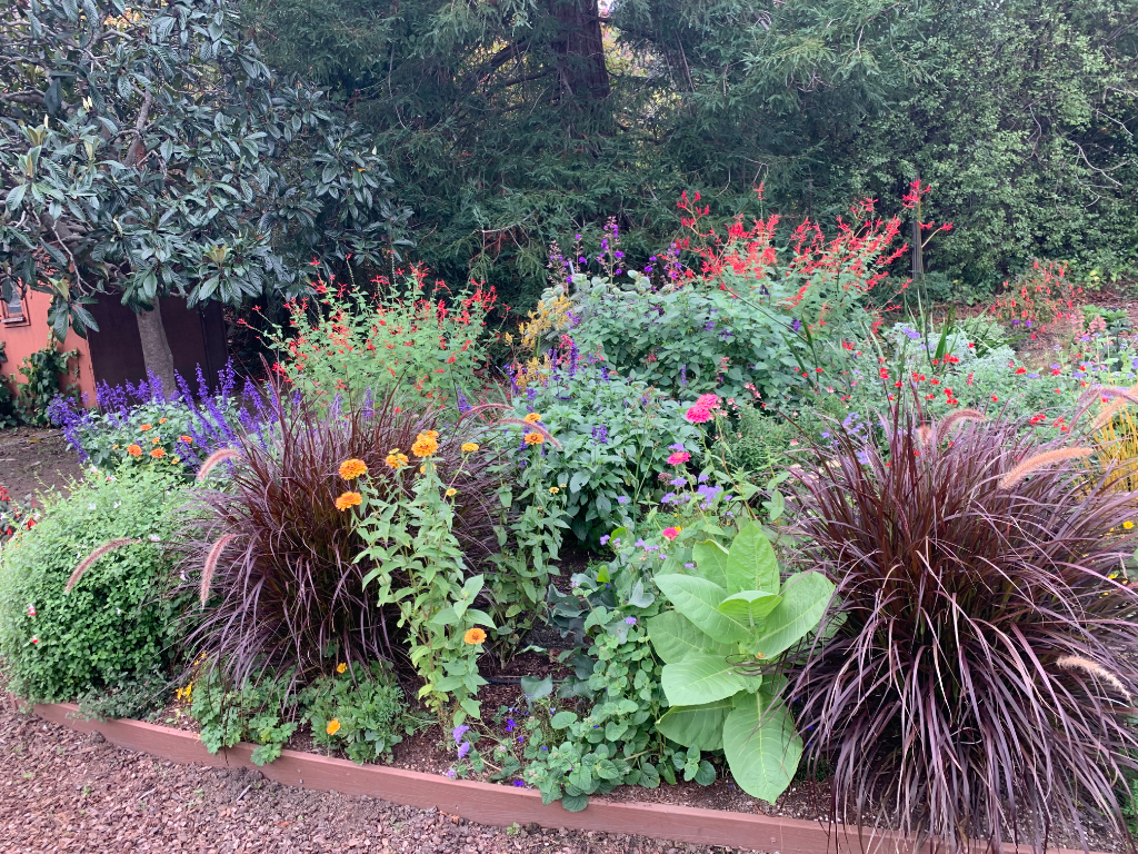 Colorful Raised Bed Design