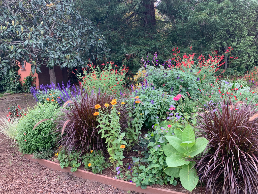 Colorful Raised Bed Design