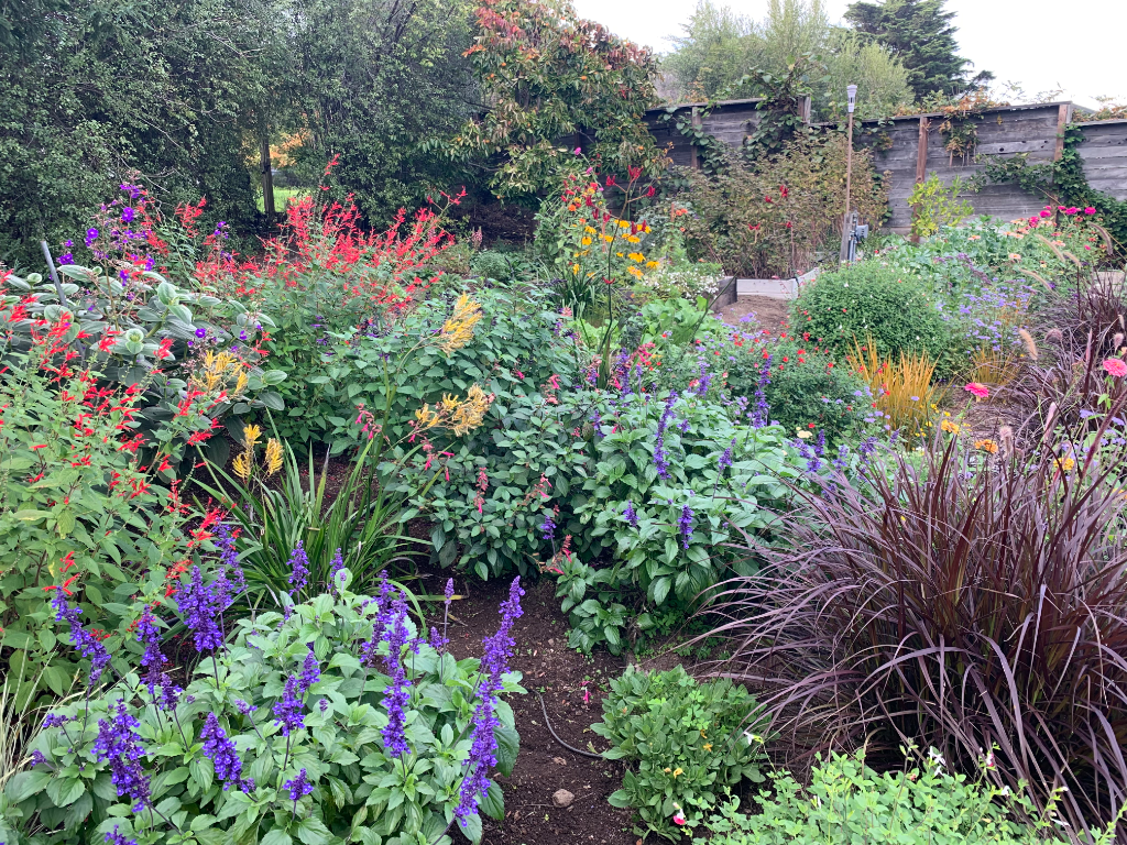 Colorful Raised Bed Design