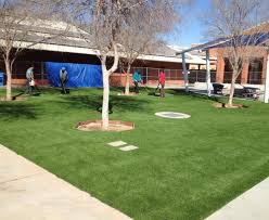 Pet-friendly clean turf
