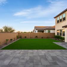 Beautiful backyard after cleaning