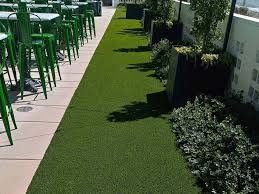 Beautiful backyard after cleaning