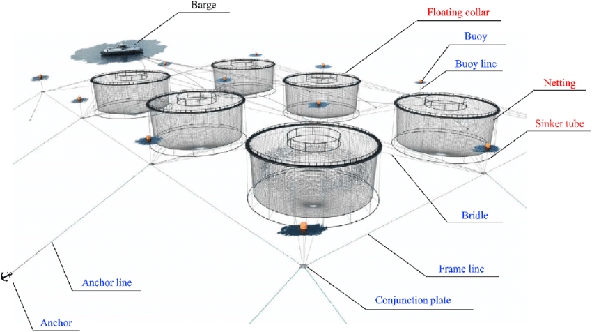 Detailed annotated diagram of aquaculture cage mooring system