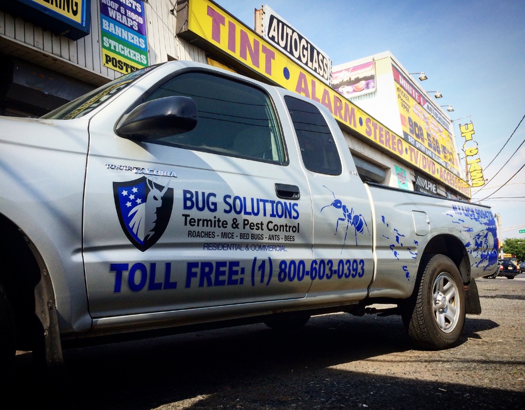 Bug Solutions Pest Control