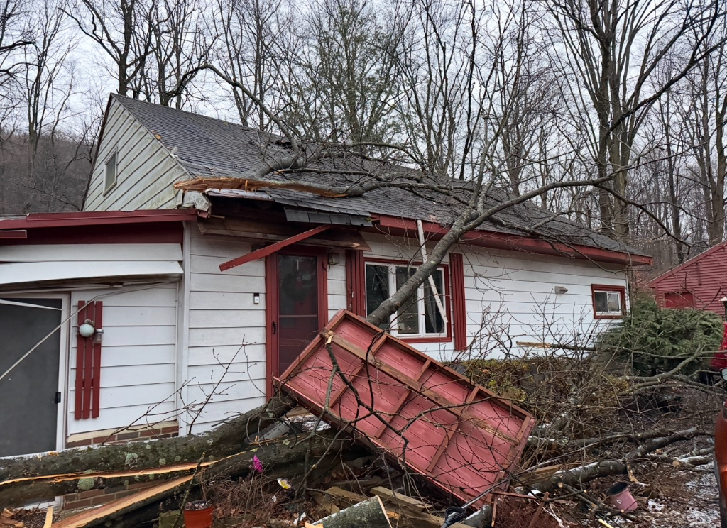 Tree damage at a home after a storm