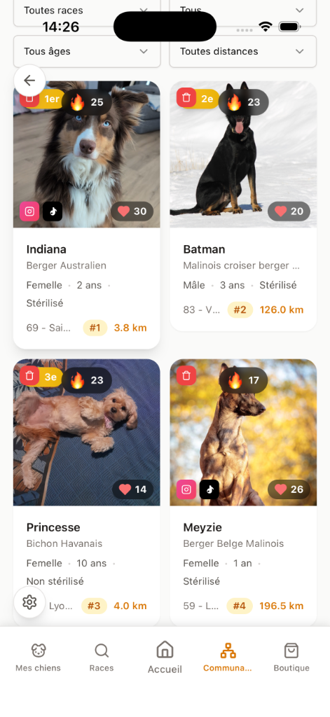IndyLife – communauté de chiens