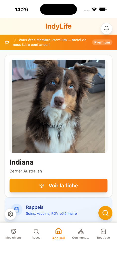 IndyLife – accueil