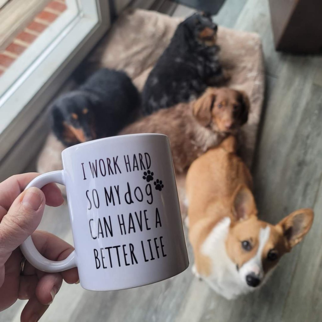 Work hard so my dog can have a better life