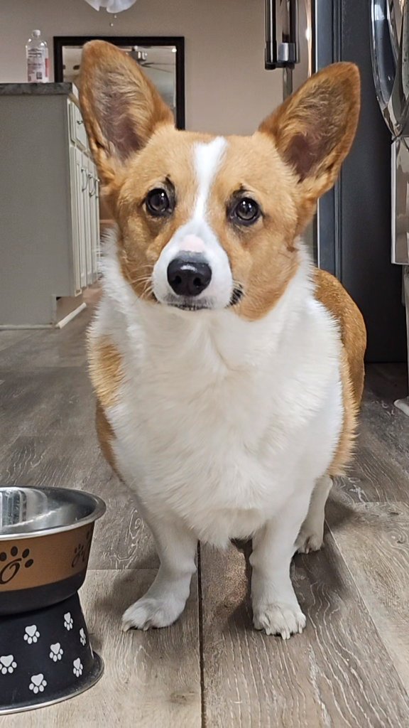 Katie