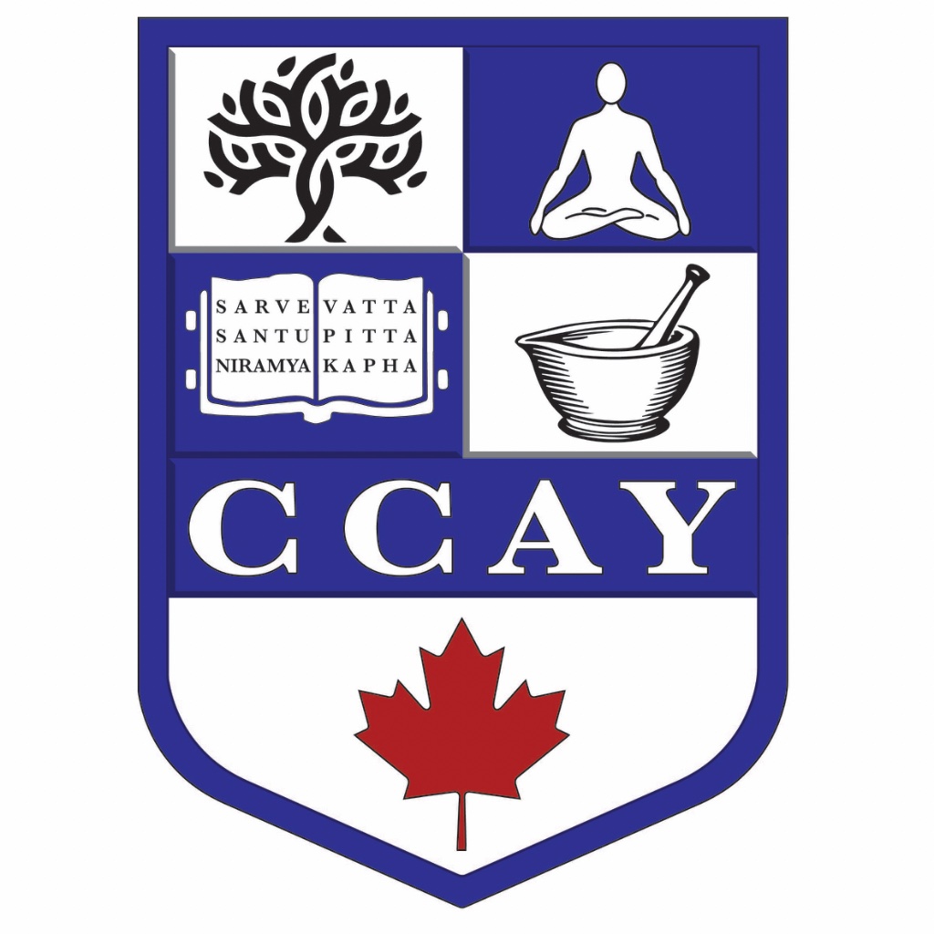 CCAY Logo Emblem