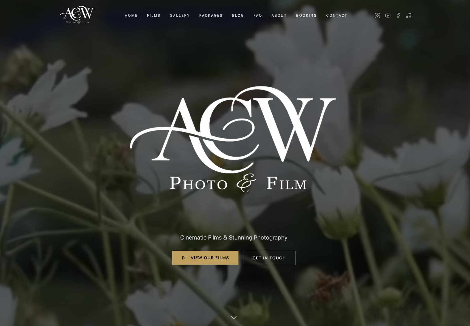 Wedding Website for Filmmaker & Photographer Group template preview