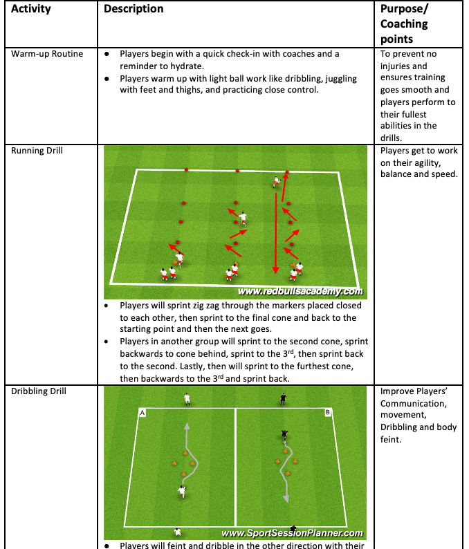 Training Session Drills