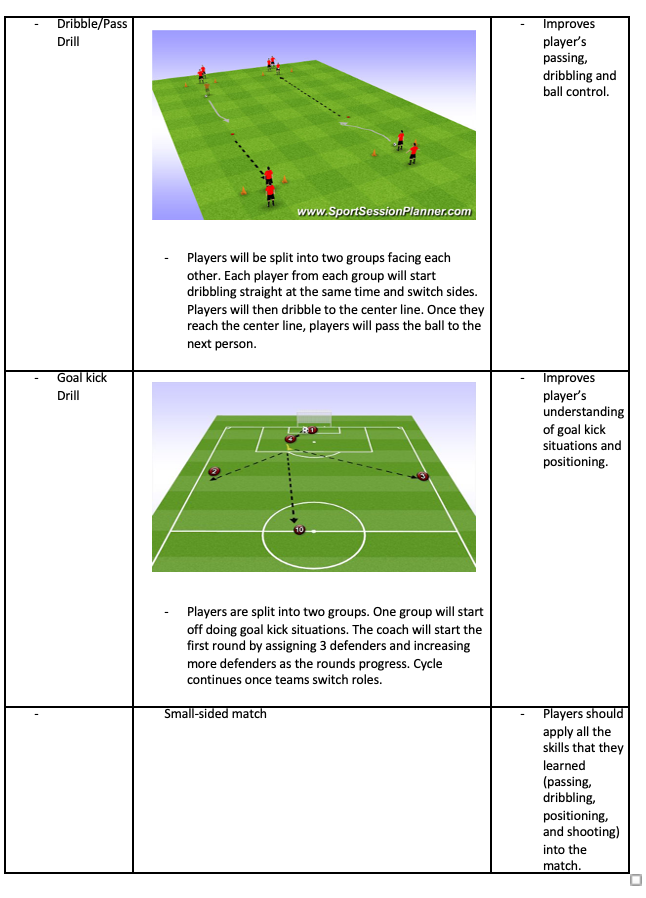 Training Session Drills