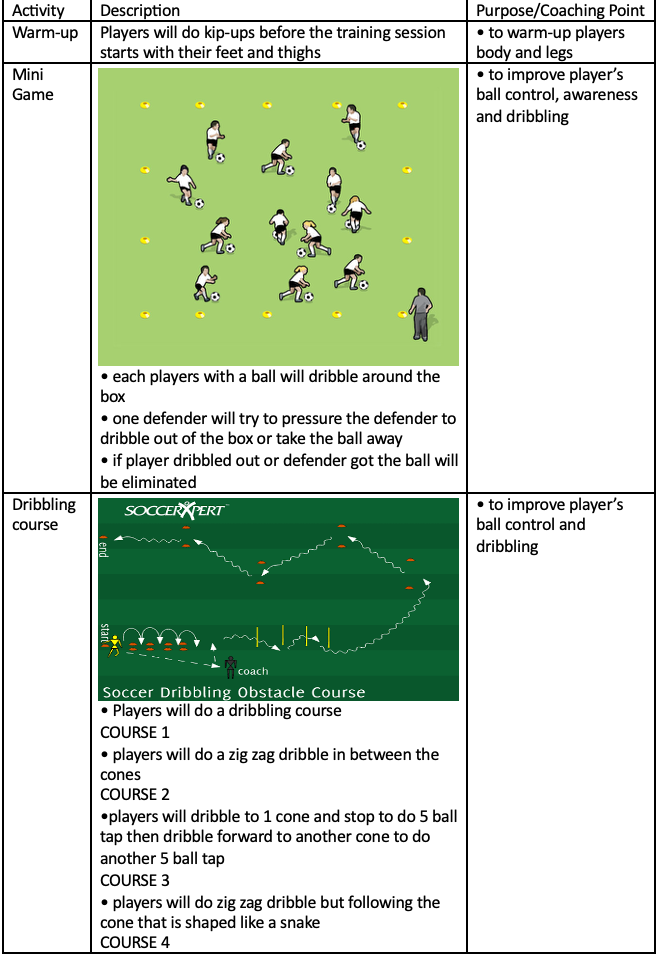 Training Session Drills