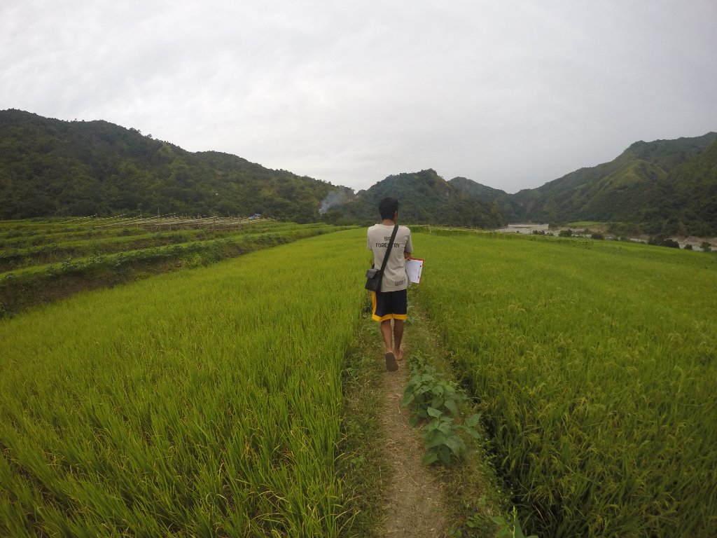 Field Research
