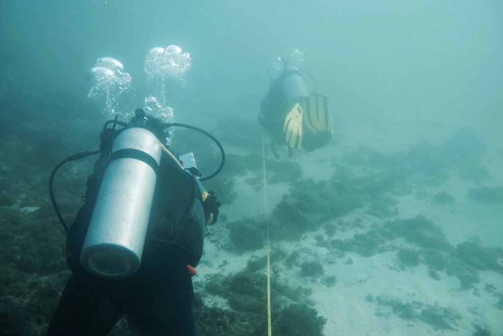 Marine Assessment